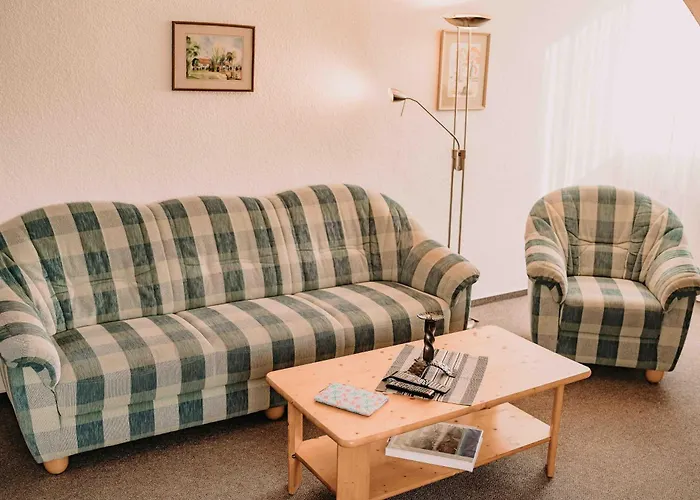 Dr Meyer 戈斯拉尔