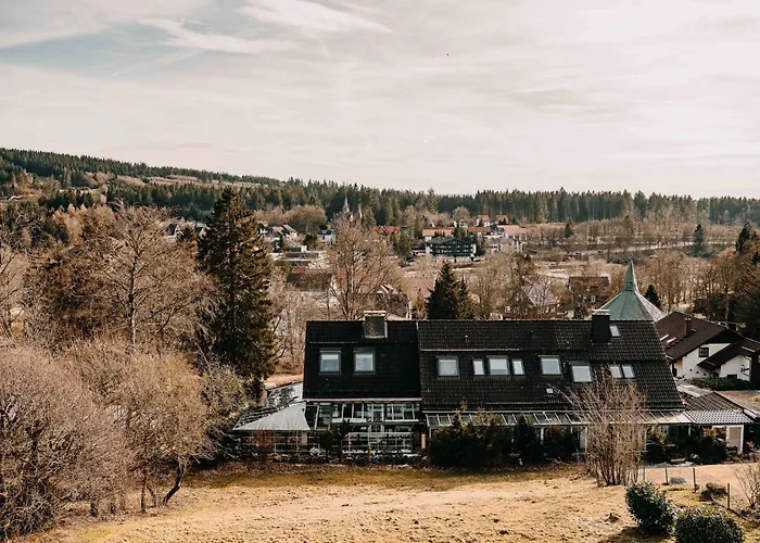 Dr Meyer 公寓 戈斯拉尔